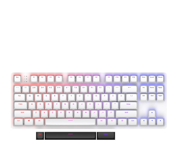 DARK PROJECT DPO87 White TKL G3MS Sapphire Hot-Swap DPP87_GSH_WHITE_ANSI_ENG - 1279858 - zdjęcie 3